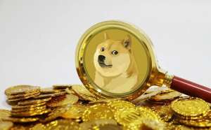 狗狗币(DOGE)今日最新价格揭晓：0.8889元，市场波动持续